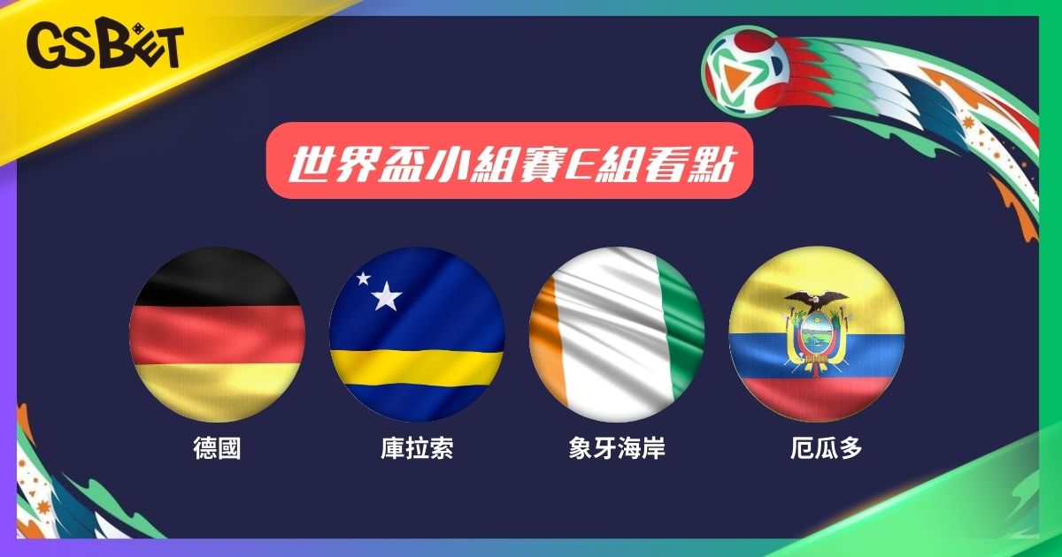 世界盃小組賽E組